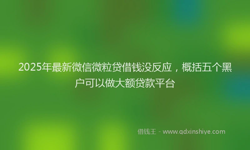2025年最新微信微粒贷借钱没反应，概括五个黑户可以做大额贷款平台