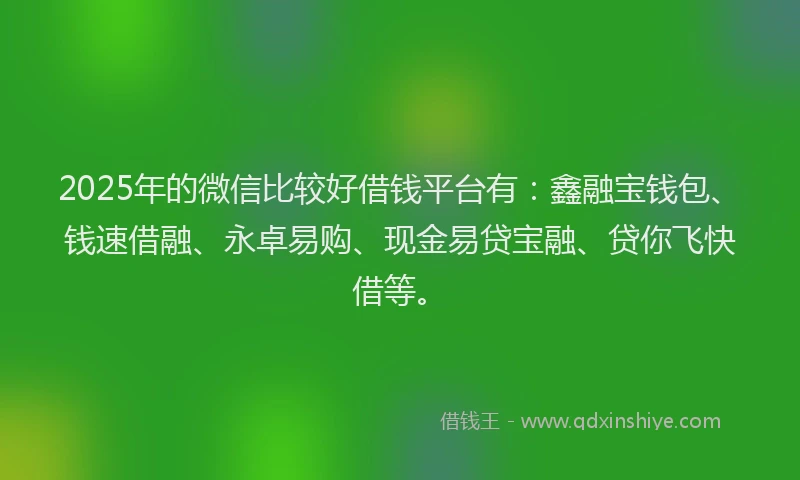 2025年的微信比较好借钱平台有：鑫融宝钱包、钱速借融、永卓易购、现金易贷宝融、贷你飞快借等。