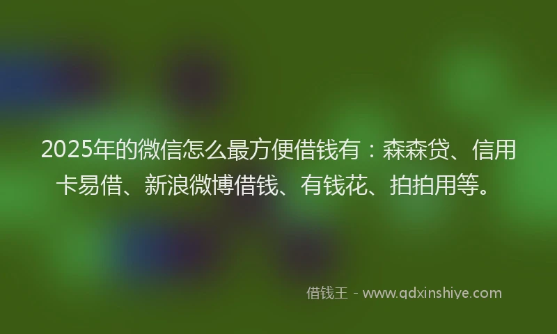 2025年的微信怎么最方便借钱有：森森贷、信用卡易借、新浪微博借钱、有钱花、拍拍用等。