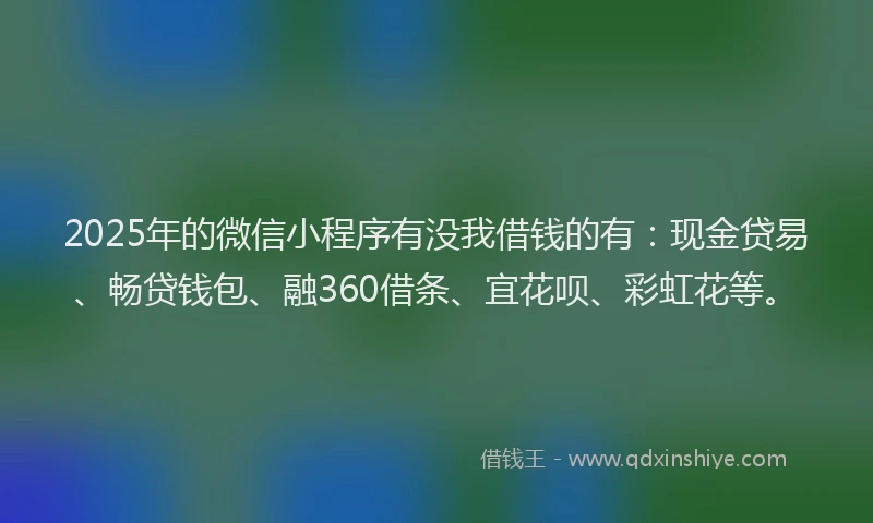 2025年的微信小程序有没我借钱的有：现金贷易、畅贷钱包、融360借条、宜花呗、彩虹花等。