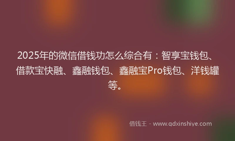 2025年的微信借钱功怎么综合有：智享宝钱包、借款宝快融、鑫融钱包、鑫融宝Pro钱包、洋钱罐等。
