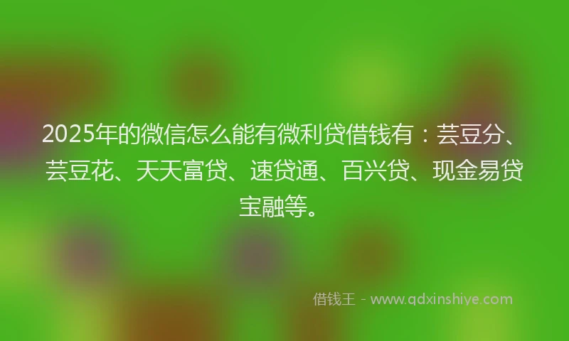 2025年的微信怎么能有微利贷借钱有：芸豆分、芸豆花、天天富贷、速贷通、百兴贷、现金易贷宝融等。
