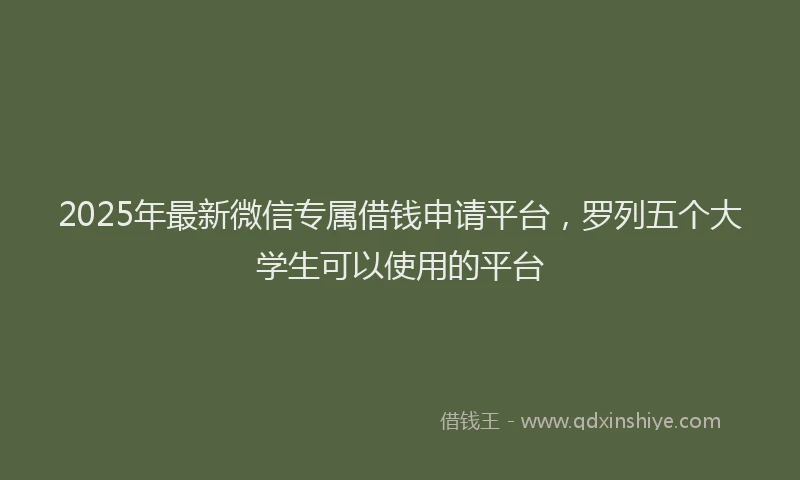 2025年最新微信专属借钱申请平台，罗列五个大学生可以使用的平台