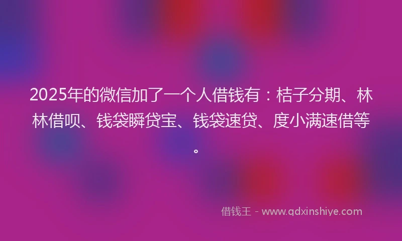 2025年的微信加了一个人借钱有：桔子分期、林林借呗、钱袋瞬贷宝、钱袋速贷、度小满速借等。