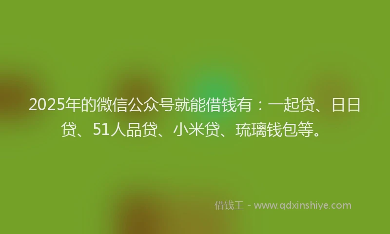 2025年的微信公众号就能借钱有：一起贷、日日贷、51人品贷、小米贷、琉璃钱包等。