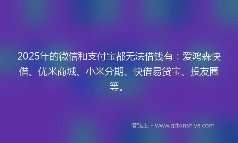 2025年的微信和支付宝都无法借钱有：爱鸿森快借、优米商城、小米分期、快借易贷宝、投友圈等。