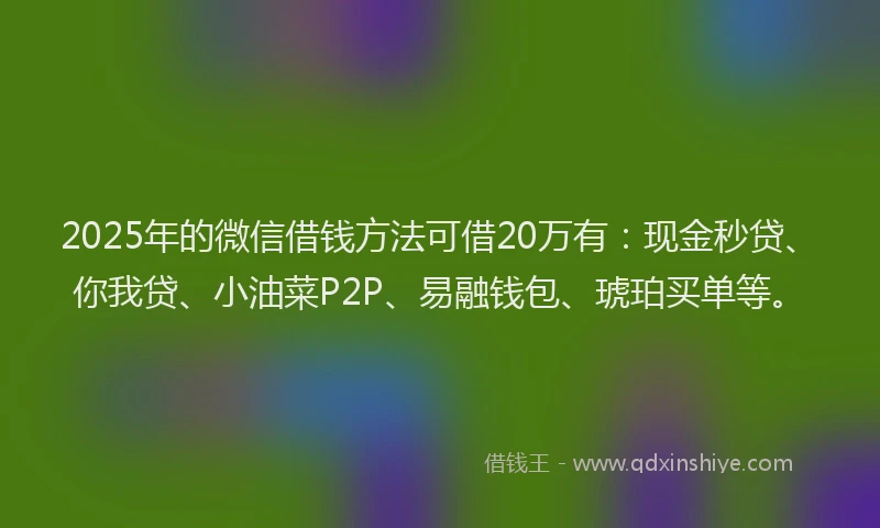 2025年的微信借钱方法可借20万有：现金秒贷、你我贷、小油菜P2P、易融钱包、琥珀买单等。