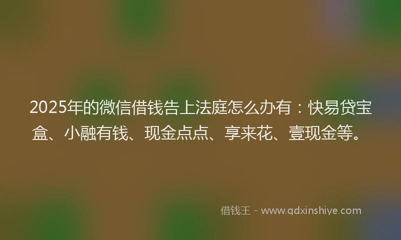 2025年的微信借钱告上法庭怎么办有：快易贷宝盒、小融有钱、现金点点、享来花、壹现金等。