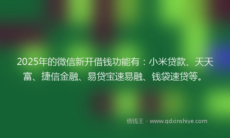 2025年的微信新开借钱功能有：小米贷款、天天富、捷信金融、易贷宝速易融、钱袋速贷等。