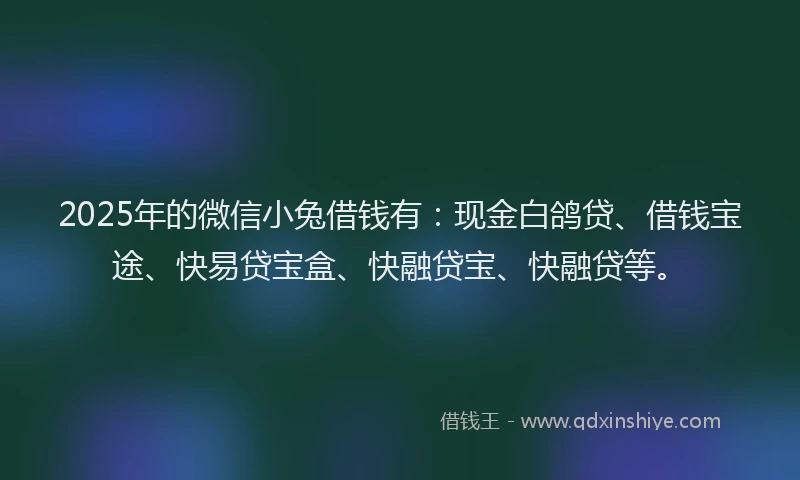 2025年的微信小兔借钱有：现金白鸽贷、借钱宝途、快易贷宝盒、快融贷宝、快融贷等。