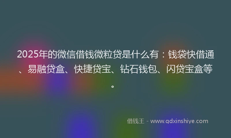 2025年的微信借钱微粒贷是什么有：钱袋快借通、易融贷盒、快捷贷宝、钻石钱包、闪贷宝盒等。