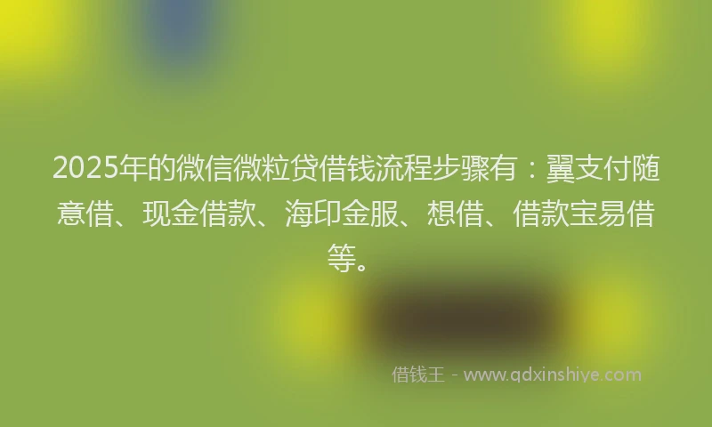 2025年的微信微粒贷借钱流程步骤有：翼支付随意借、现金借款、海印金服、想借、借款宝易借等。