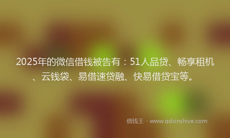 2025年的微信借钱被告有：51人品贷、畅享租机、云钱袋、易借速贷融、快易借贷宝等。