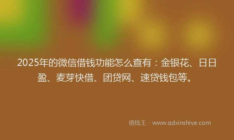 2025年的微信借钱功能怎么查有：金银花、日日盈、麦芽快借、团贷网、速贷钱包等。