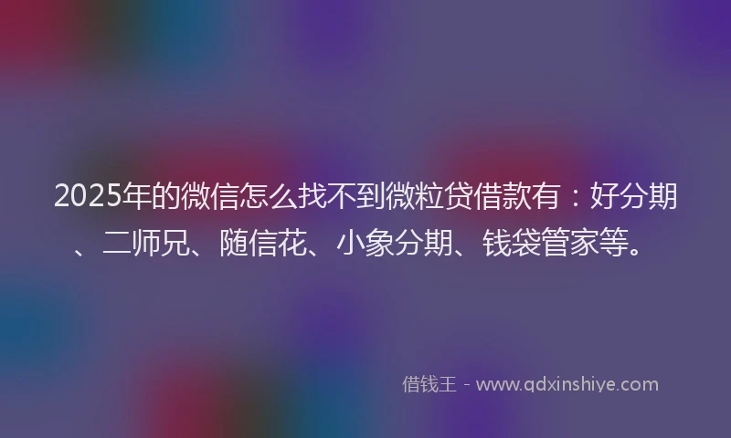 2025年的微信怎么找不到微粒贷借款有：好分期、二师兄、随信花、小象分期、钱袋管家等。