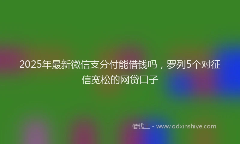 2025年最新微信支分付能借钱吗，罗列5个对征信宽松的网贷口子