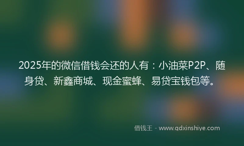 2025年的微信借钱会还的人有：小油菜P2P、随身贷、新鑫商城、现金蜜蜂、易贷宝钱包等。