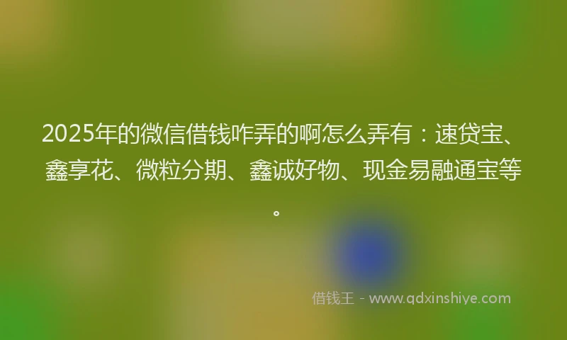 2025年的微信借钱咋弄的啊怎么弄有：速贷宝、鑫享花、微粒分期、鑫诚好物、现金易融通宝等。