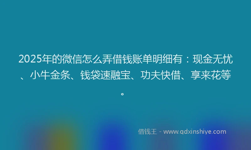 2025年的微信怎么弄借钱账单明细有：现金无忧、小牛金条、钱袋速融宝、功夫快借、享来花等。