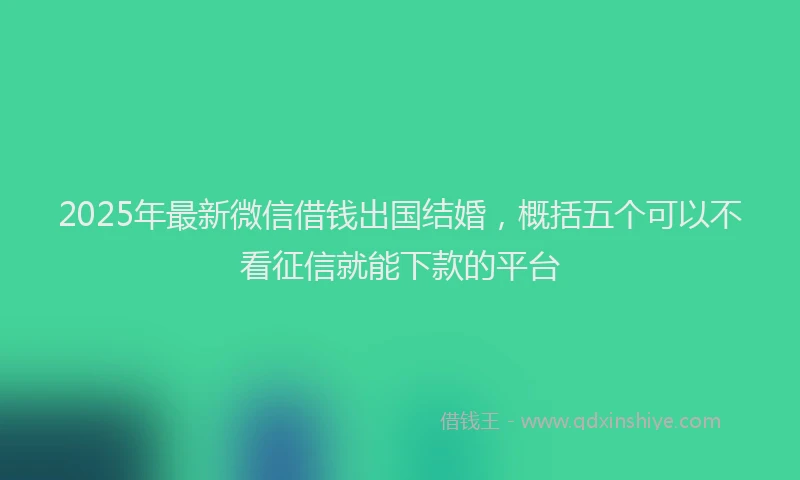2025年最新微信借钱出国结婚，概括五个可以不看征信就能下款的平台