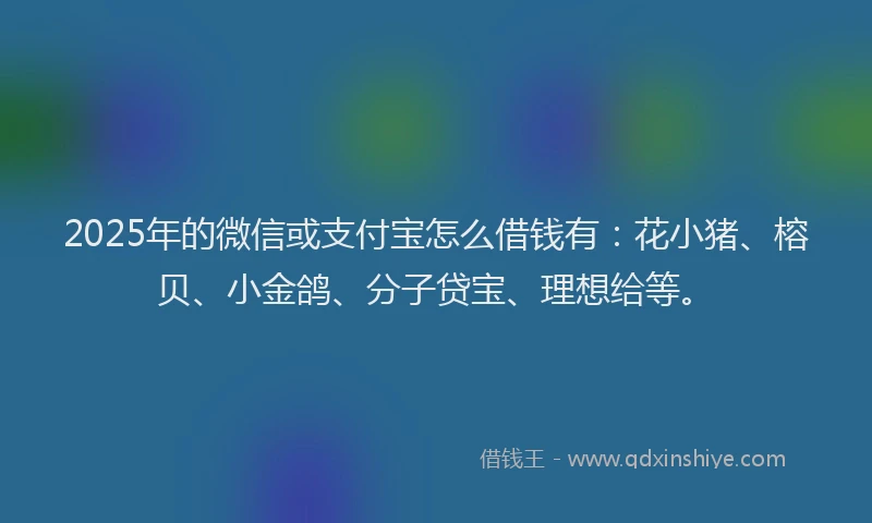 2025年的微信或支付宝怎么借钱有：花小猪、榕贝、小金鸽、分子贷宝、理想给等。