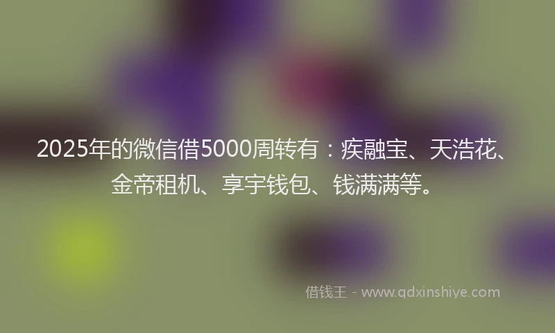 2025年的微信借5000周转有：疾融宝、天浩花、金帝租机、享宇钱包、钱满满等。
