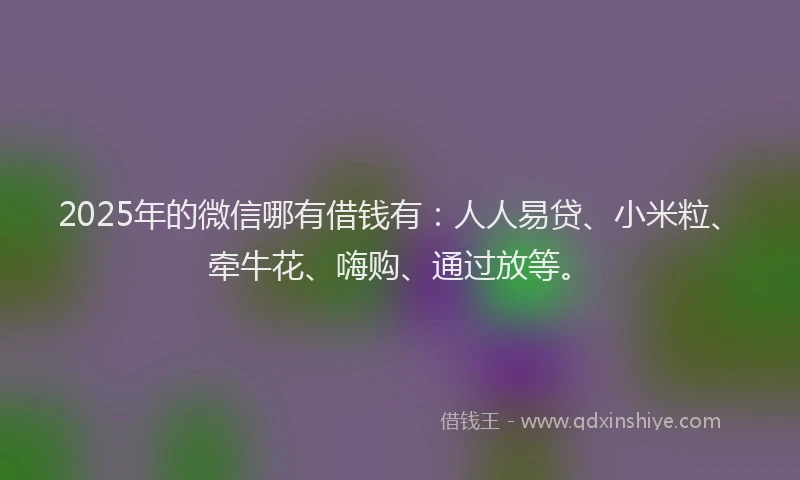 2025年的微信哪有借钱有：人人易贷、小米粒、牵牛花、嗨购、通过放等。