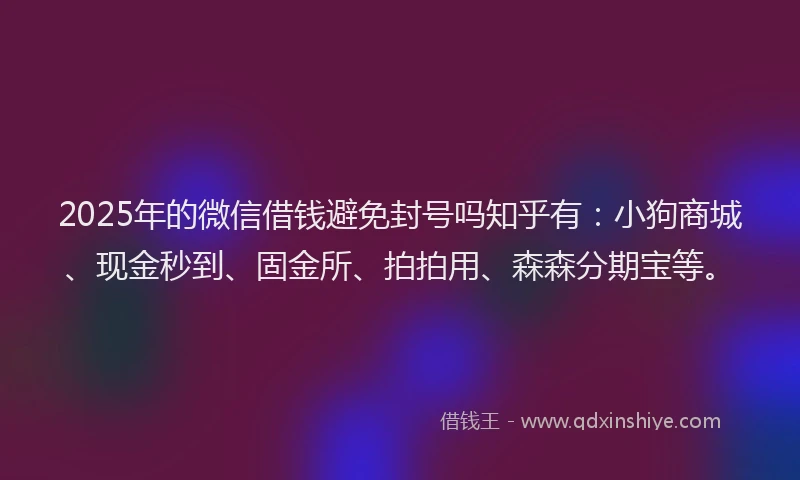 2025年的微信借钱避免封号吗知乎有：小狗商城、现金秒到、固金所、拍拍用、森森分期宝等。