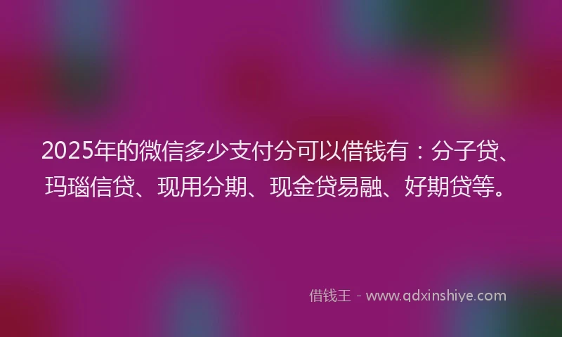 2025年的微信多少支付分可以借钱有：分子贷、玛瑙信贷、现用分期、现金贷易融、好期贷等。