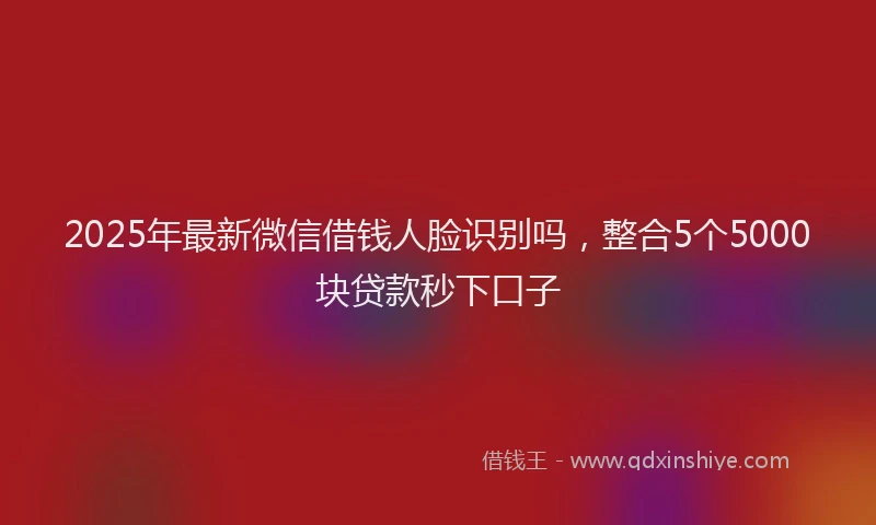 2025年最新微信借钱人脸识别吗，整合5个5000块贷款秒下口子