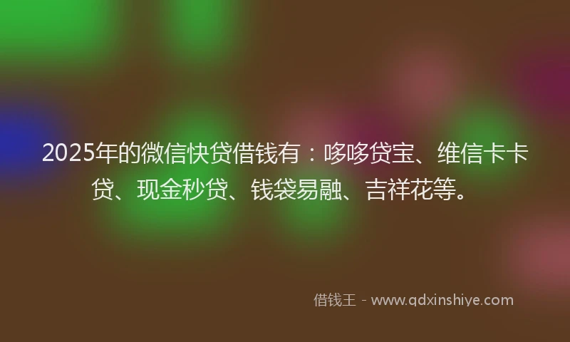 2025年的微信快贷借钱有：哆哆贷宝、维信卡卡贷、现金秒贷、钱袋易融、吉祥花等。