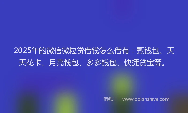 2025年的微信微粒贷借钱怎么借有：甄钱包、天天花卡、月亮钱包、多多钱包、快捷贷宝等。