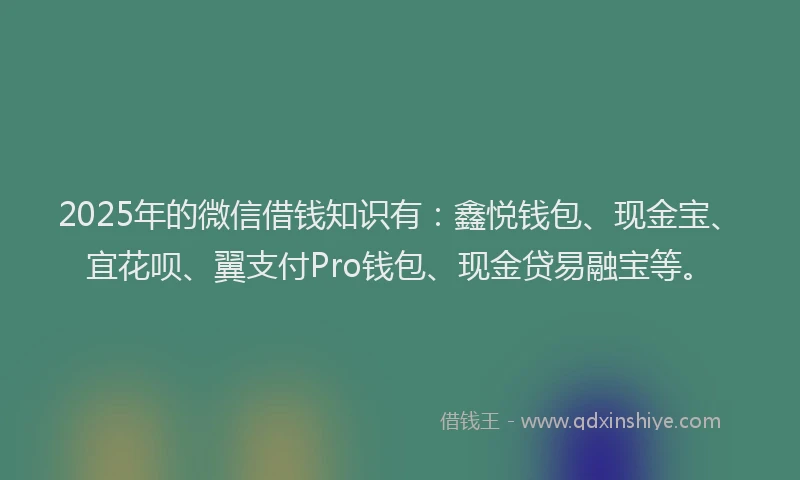 2025年的微信借钱知识有：鑫悦钱包、现金宝、宜花呗、翼支付Pro钱包、现金贷易融宝等。