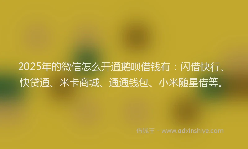 2025年的微信怎么开通鹅呗借钱有：闪借快行、快贷通、米卡商城、通通钱包、小米随星借等。