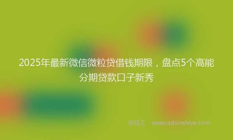 2025年最新微信微粒贷借钱期限，盘点5个高能分期贷款口子新秀