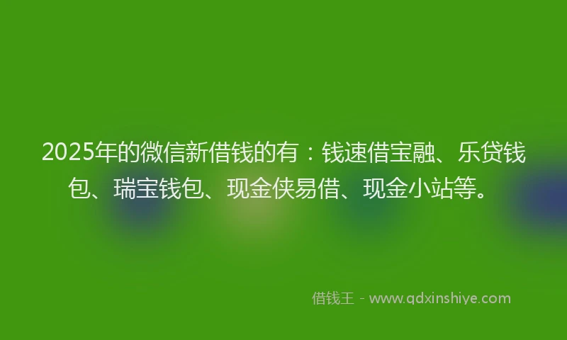 2025年的微信新借钱的有：钱速借宝融、乐贷钱包、瑞宝钱包、现金侠易借、现金小站等。