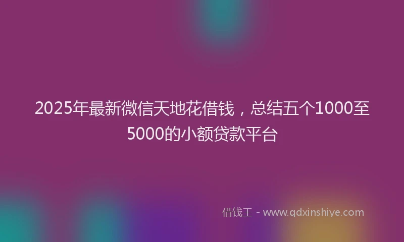 2025年最新微信天地花借钱，总结五个1000至5000的小额贷款平台