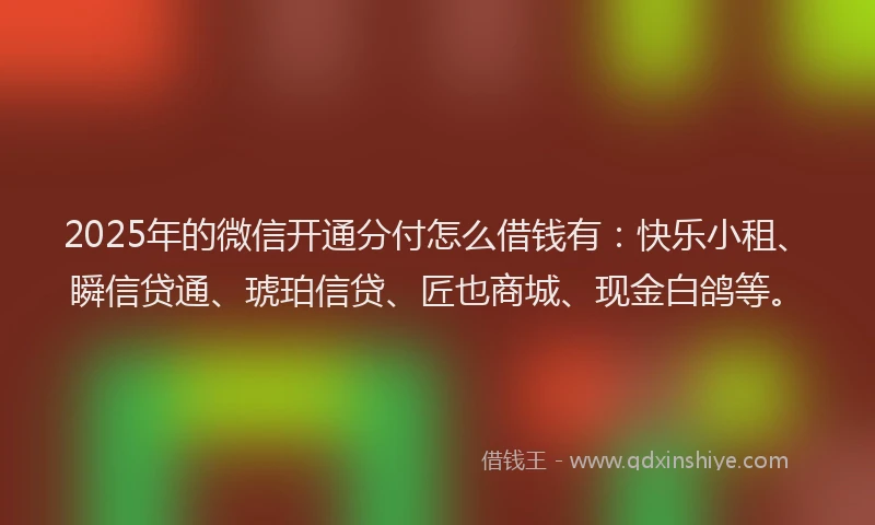 2025年的微信开通分付怎么借钱有：快乐小租、瞬信贷通、琥珀信贷、匠也商城、现金白鸽等。