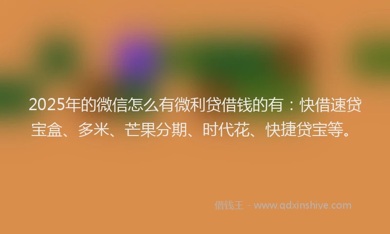 2025年的微信怎么有微利贷借钱的有：快借速贷宝盒、多米、芒果分期、时代花、快捷贷宝等。