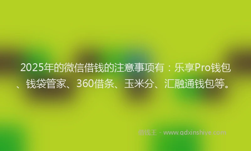 2025年的微信借钱的注意事项有：乐享Pro钱包、钱袋管家、360借条、玉米分、汇融通钱包等。