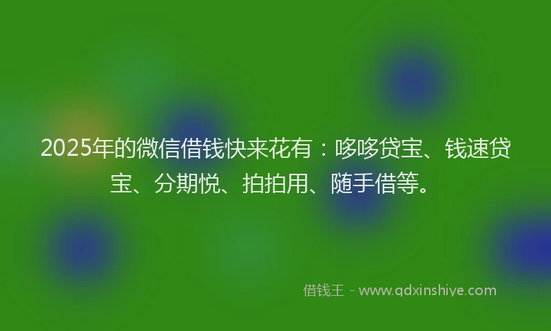 2025年的微信借钱快来花有：哆哆贷宝、钱速贷宝、分期悦、拍拍用、随手借等。