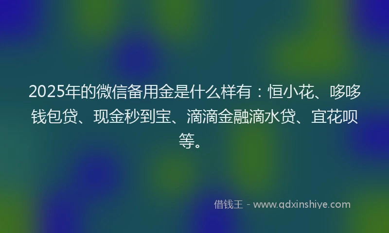 2025年的微信备用金是什么样有：恒小花、哆哆钱包贷、现金秒到宝、滴滴金融滴水贷、宜花呗等。