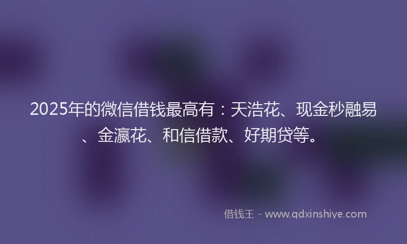 2025年的微信借钱最高有：天浩花、现金秒融易、金瀛花、和信借款、好期贷等。