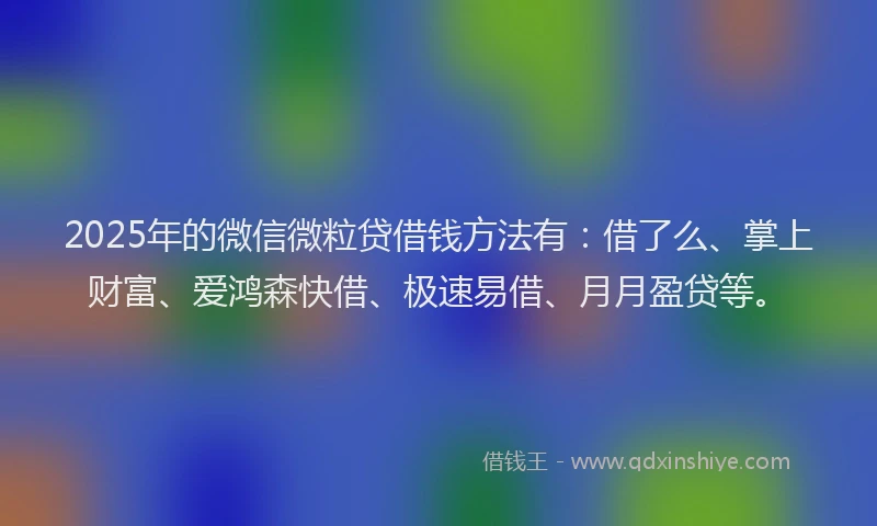 2025年的微信微粒贷借钱方法有：借了么、掌上财富、爱鸿森快借、极速易借、月月盈贷等。