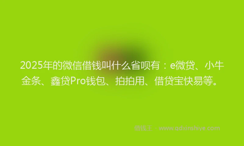 2025年的微信借钱叫什么省呗有：e微贷、小牛金条、鑫贷Pro钱包、拍拍用、借贷宝快易等。