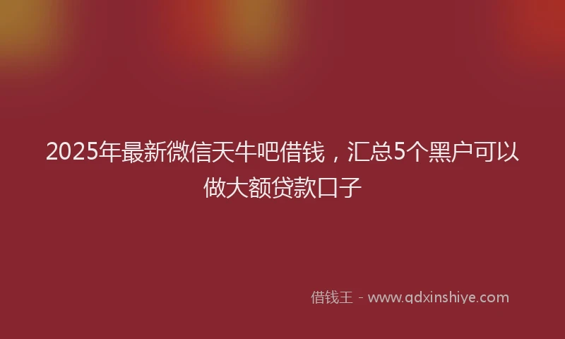 2025年最新微信天牛吧借钱，汇总5个黑户可以做大额贷款口子