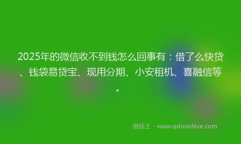2025年的微信收不到钱怎么回事有：借了么快贷、钱袋易贷宝、现用分期、小安租机、喜融信等。