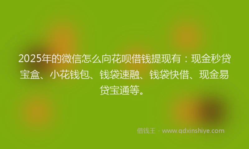 2025年的微信怎么向花呗借钱提现有：现金秒贷宝盒、小花钱包、钱袋速融、钱袋快借、现金易贷宝通等。