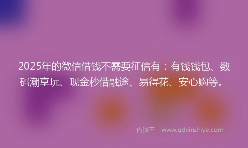 2025年的微信借钱不需要征信有：有钱钱包、数码潮享玩、现金秒借融途、易得花、安心购等。