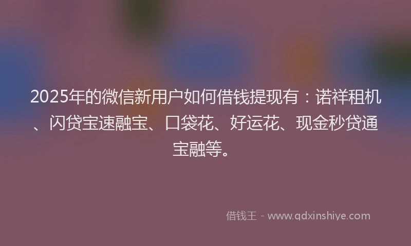 2025年的微信新用户如何借钱提现有：诺祥租机、闪贷宝速融宝、口袋花、好运花、现金秒贷通宝融等。